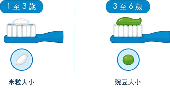 1 至 3 歲用米粒大小、3 至 6 歲用豌豆大小的含氟牙膏