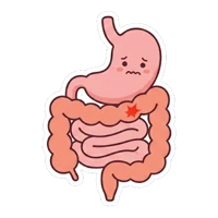 腸胃